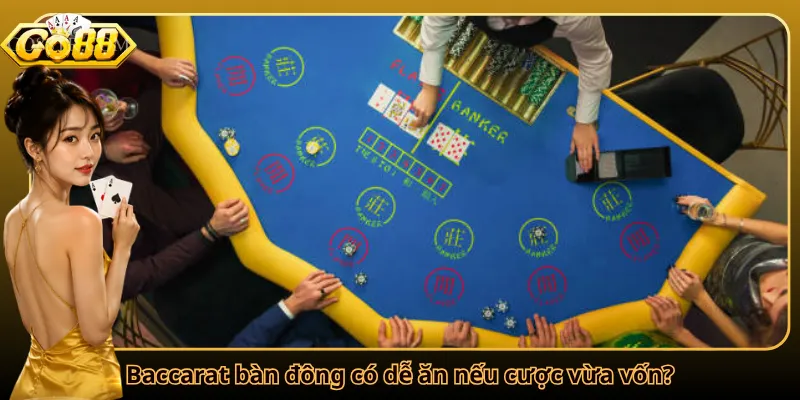 Baccarat bàn đông có dễ ăn nếu cược vừa vốn?
