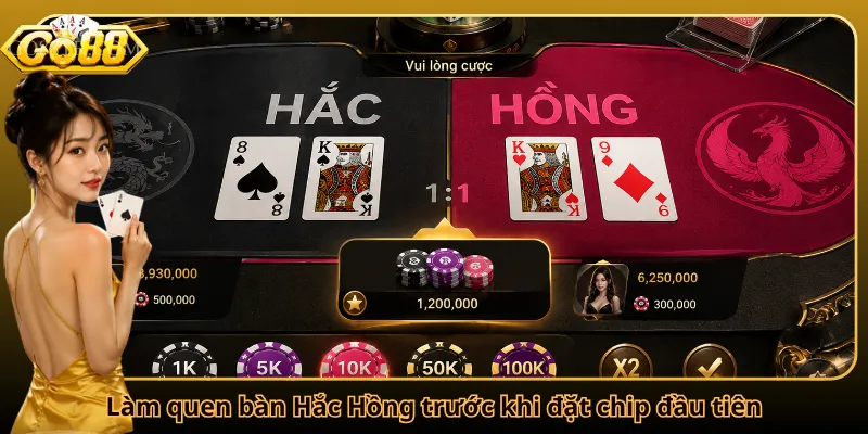 Làm quen bàn Hắc Hồng trước khi đặt chip đầu tiên